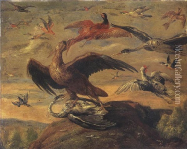 Oiseaux Oil Painting - Jan van Kessel the Elder