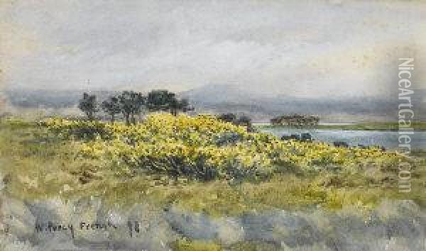 Gorse In Flower At Parknasilla, Co. Kerry Oil Painting - William Percy French