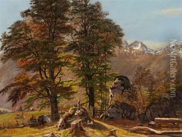 Parti Fra Schwartzwald Or Landskab Fra Tyrol Oil Painting - Frederik Hansen Sodring
