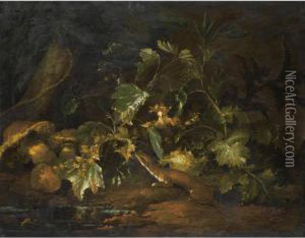 A Forest Floor With A Stoat Underneath Some Foliage, Beside A Pool Of Water Oil Painting - Niccolino Van Houbraken