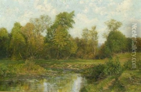 Summer Landscape With A Stream Oil Painting - Olive Parker Black