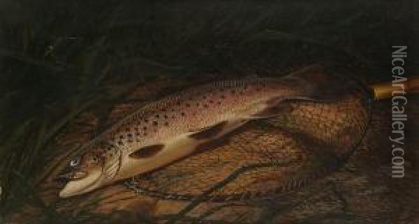 Trout In A Landing Net On A Riverbank Oil Painting - Thomas G. Targett