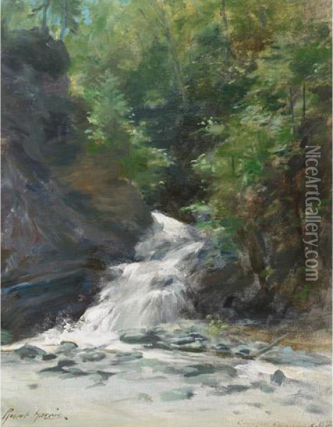 Crawford Falls, Metis Oil Painting - Robert Harris