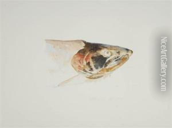 Silver Salmon, Papermill Creek Oil Painting - Sir William Allan