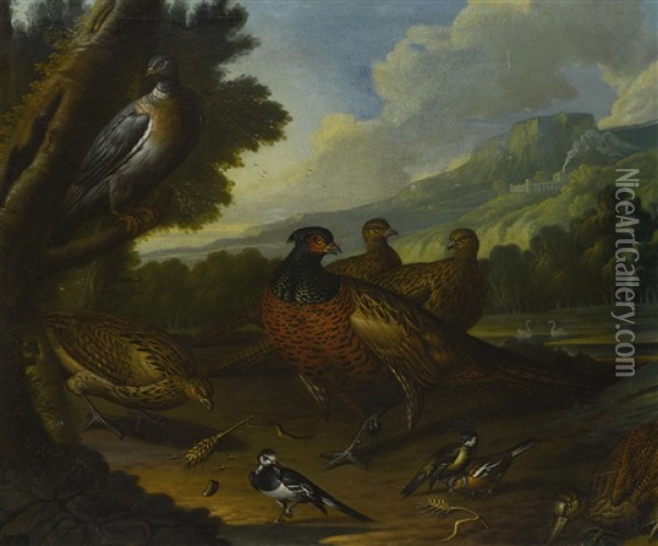 Pheasants, Wood Pigeon And Small Birds In An Extensive Landscape Oil Painting - Marmaduke Cradock