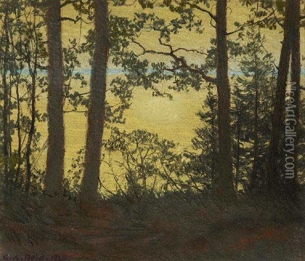 View Of The Lake At Sunset Through Thetrees Oil Painting - George Agnew Reid