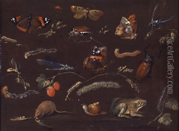 Eine Studie Von Verschiedenen Kleintieren Und Insekten Oil Painting - Dietrich Findorff