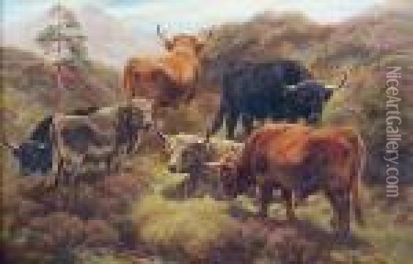 A Herd Of Highland Cattle Oil Painting - William Watson