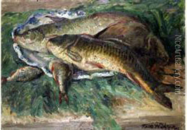 Still Life With Fish Oil Painting - David O. Widhopff