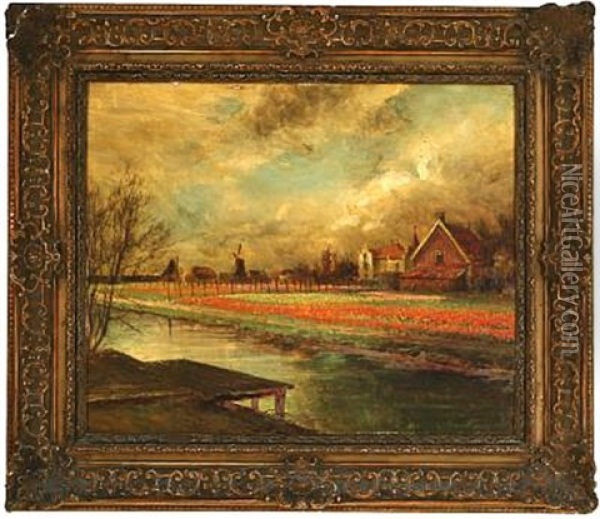 Tulip Fields At A Canal, Holland Oil Painting - Pierre (Desire Eugene) Franc Lamy