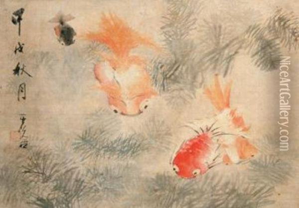 Goldfish Oil Painting - Xu Gu