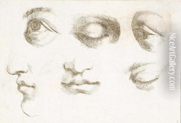 Five Studies Of Eyes, A Study Of
 The Lower Portion Of A Face In Profile And Another From The Front Oil Painting - Guercino