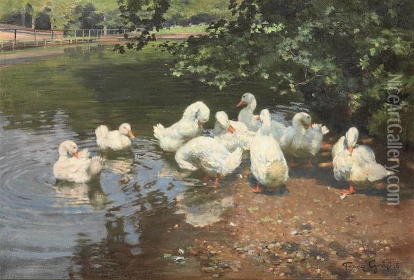 Am Ententeiche: Ducks In A Pont Oil Painting - Franz Grassel