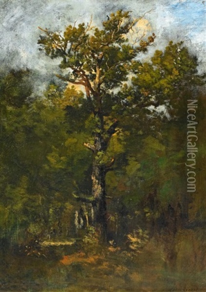 Waldlandschaft Oil Painting - Leon Richet