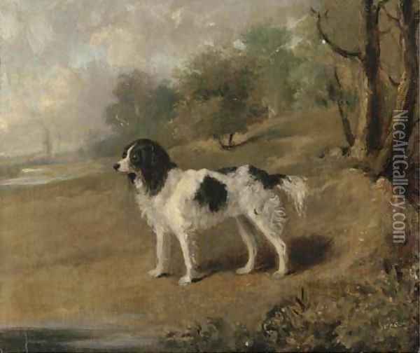 A spaniel in a landscape Oil Painting - English School