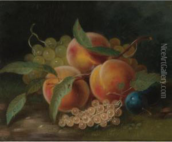 Still Life With Peaches, Plums And Grapes Oil Painting - George Forster
