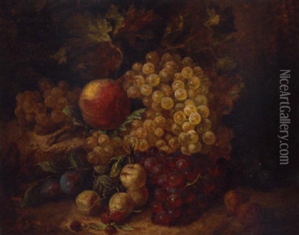 Grapes, A Peach, Green Gages, Medlars And A Bee On A Rockery Oil Painting - Andreas Lach