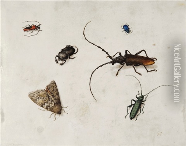 Insektenstudie Oil Painting - Pieter Holsteyn the Elder