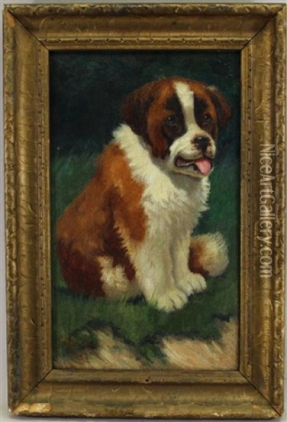 Painting Of A St. Bernard Pup Oil Painting - Sidney Lawrence Brackett