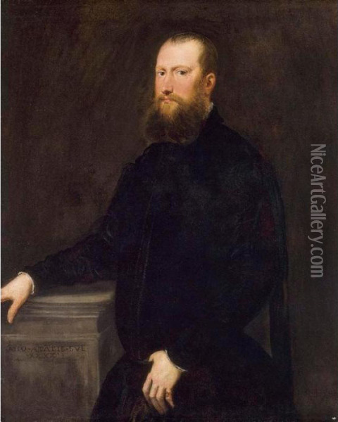Portrait Of A Bearded Venetian Nobleman Oil Painting - Jacopo Robusti, II Tintoretto