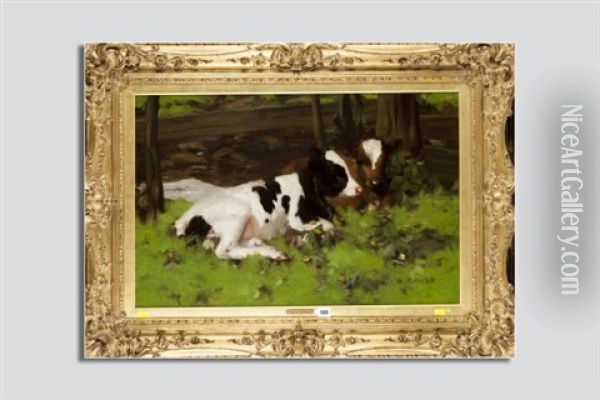 Two Calves Resting Beneath Some Trees Oil Painting - David Gauld
