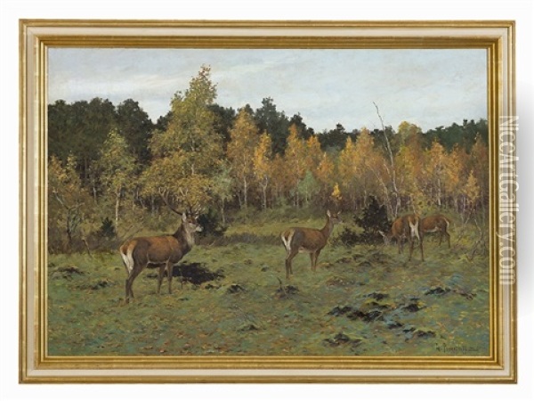 Deer In Autumn Forest Oil Painting - Dimitri Von Prokofiev