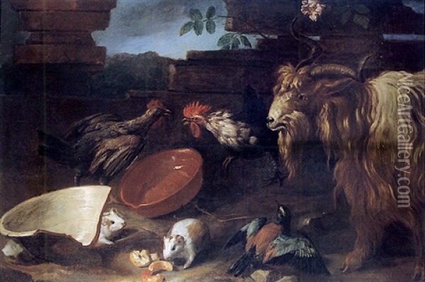 Scene De Basse-cour Avec Un Bouc Oil Painting - Giacomo (Jacobus) Victors