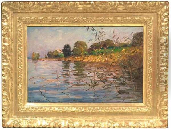 Koester, Alexander. Lakeside With Reed Oil Painting - Alexander Max Koester