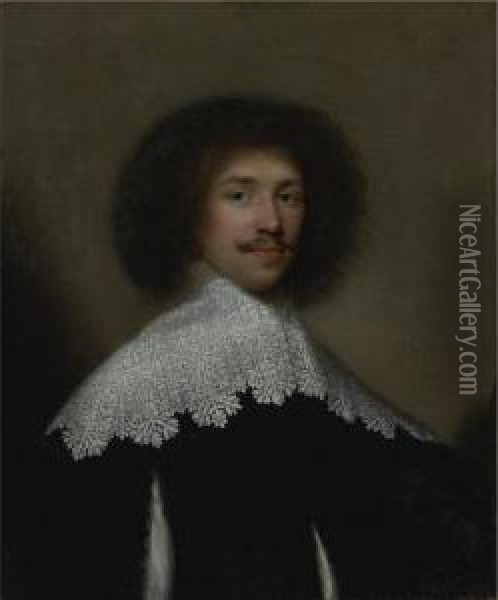 Portrait Of A Cavalier Oil Painting - Cornelius Janssens Van Ceulen