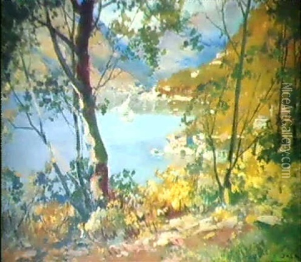 Baumbestandenes Seeufer Oil Painting - Paolo Sala