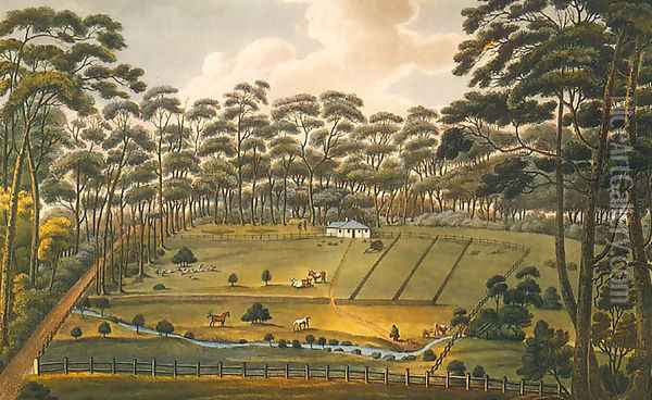 Raby - a Farm Belonging to Alexander Riley Esq. NSW Oil Painting - Joseph Lycett