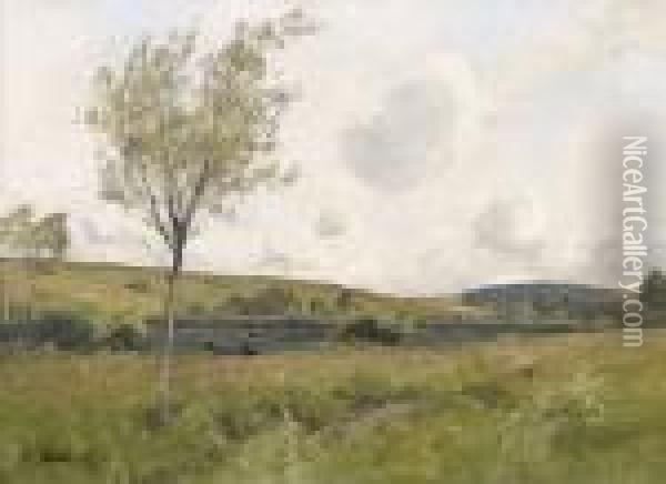 Flusslandschaft Mit Weidenbaumen Oil Painting - Adolf Stabli
