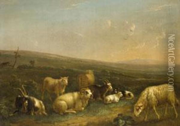 Schafe Und Ziegen In Abendlicher Heidelandschaft Oil Painting - Andries Vermeulen