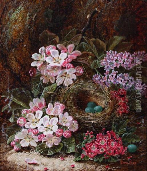 Bird's Nest With Blossom And Spring Flowers Oil Painting - Oliver Clare