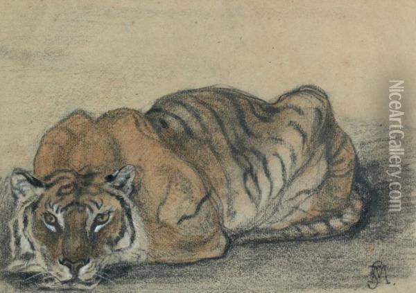 Etude De Tigre Allonge Oil Painting - Charles Edme Saint-Marcel-Cabin