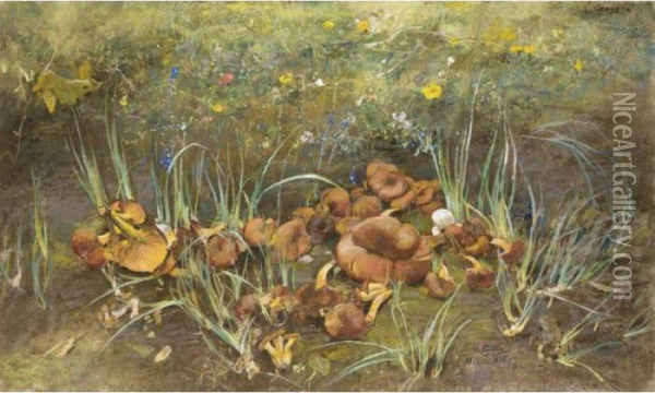 Funghi Recisi In Un Prato Oil Painting - Giuseppe Casciaro
