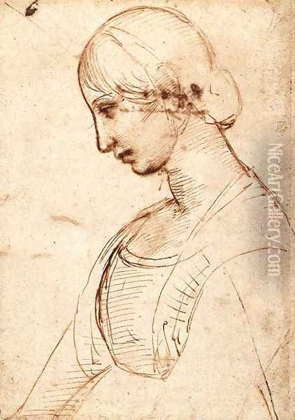 Waist Length Figure Of A Young Woman Oil Painting - Raphael