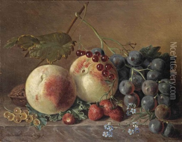 Peaches, Grapes, Wild Strawberries, Red And White Currants, Forget-me-nots And A Walnut On A Marble Ledge Oil Painting - Adriana Van Ravenswaay