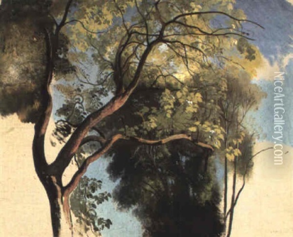 Waldlichtung Mit Sonnenlicht Oil Painting - Carl Maria Nicolaus Hummel