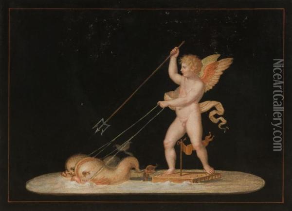 Cupid Pulled By Two Dolphins Oil Painting - Michaelangelo Maestri