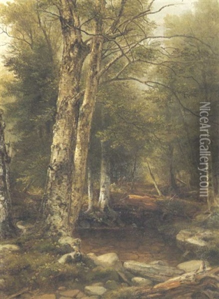 Wooded Landscape Oil Painting - Asher Brown Durand