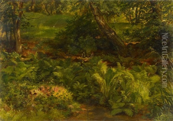 Waldesgrund Oil Painting - Friedrich Loos