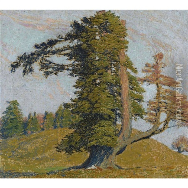 Le Plus Beau Sapin De La Montagne De Boujean Oil Painting - Jean Philippe Edouard Robert