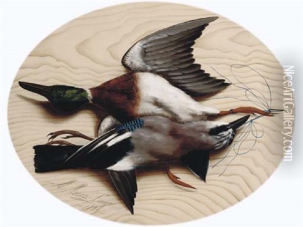 A Mallard And A Jay Oil Painting - Michelangelo Meucci