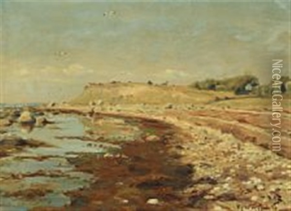 Costal Scenery From The Danish Island Kyholm Oil Painting - Hans Andersen Brendekilde