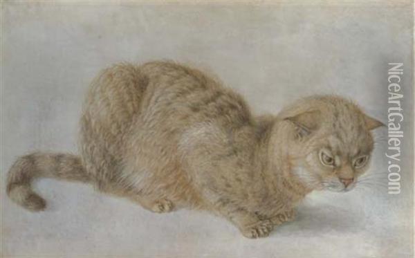 A Crouching Cat Oil Painting - Hans Hoffmann