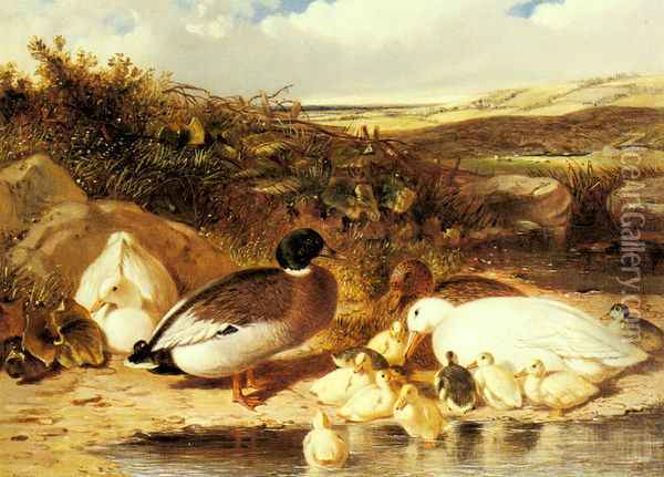 Mallard Ducks and Ducklings on a River Bank Oil Painting - John Frederick Herring Snr
