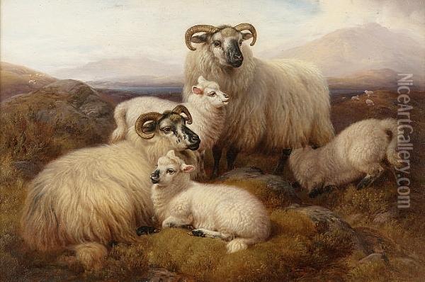 Sheep In The Highlands; Highland Cattle Oil Painting - William Watson