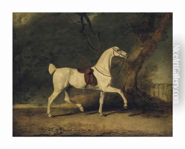 A Saddled Grey Hunter By A Tree, In A Paddock Oil Painting - Benjamin Marshall