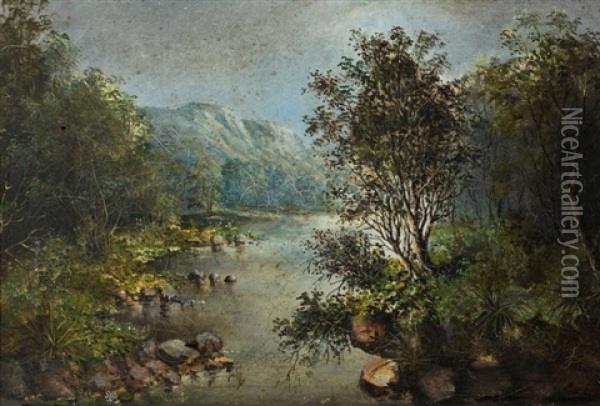 River Landscape With Mountains In The Background Oil Painting - Frederick Timpson I'Ons